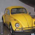 Peterson_080 (July 28, 2019)